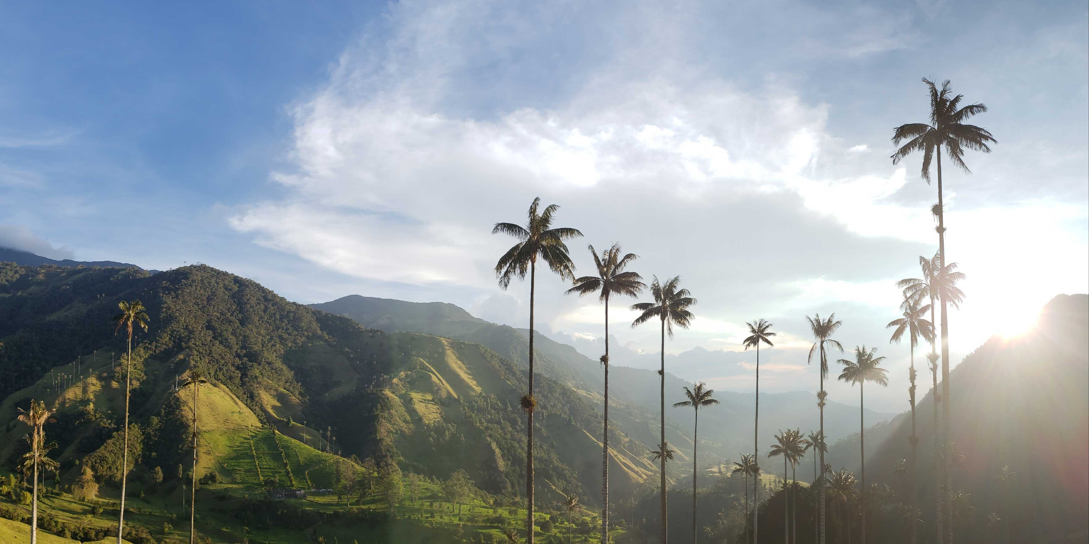 Cocora vallei